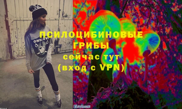 ПСИЛОЦИБИНОВЫЕ ГРИБЫ Елабуга
