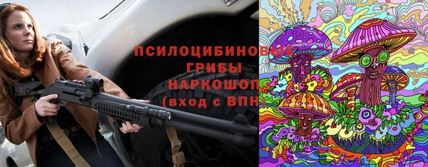 ПСИЛОЦИБИНОВЫЕ ГРИБЫ Елабуга
