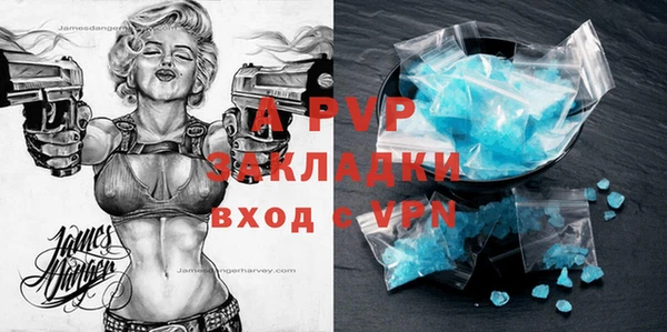 ПСИЛОЦИБИНОВЫЕ ГРИБЫ Елабуга