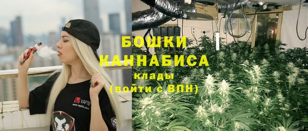 не бодяженный Ельня