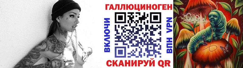 Купить где  Теберда  Галлюциногенные грибы Cubensis 