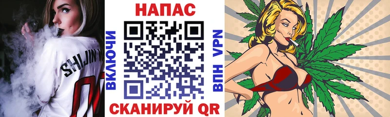 Шишки марихуана семена  Купить закладки  Теберда 